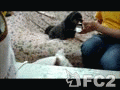 動画:朝食